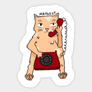 Cute cat Sticker